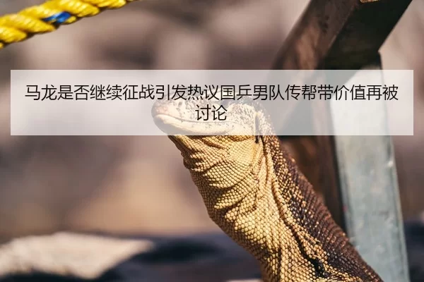 马龙是否继续征战引发热议国乒男队传帮带价值再被讨论