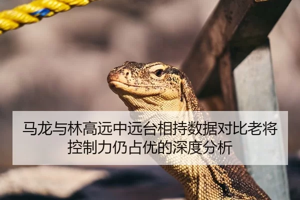 马龙与林高远中远台相持数据对比老将控制力仍占优的深度分析