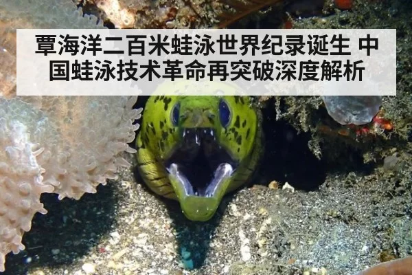 覃海洋二百米蛙泳世界纪录诞生 中国蛙泳技术革命再突破深度解析 - huatihui